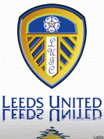It Seems There is Division Between Leeds United Supporters